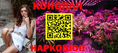 шишки Анапа
