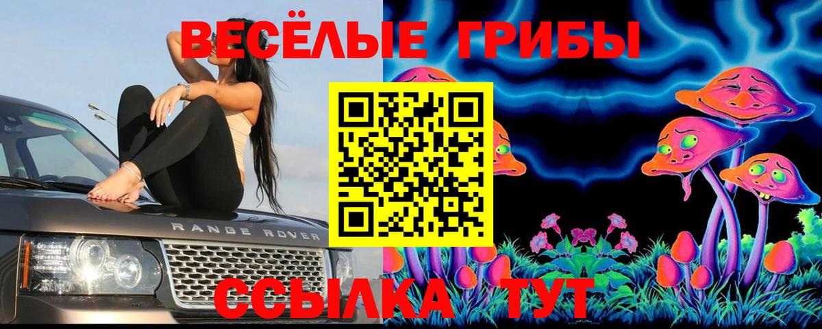 Псилоцибиновые грибы Magic Shrooms Анапа