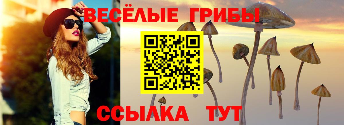 Псилоцибиновые грибы мухоморы  Вход с VPN  Анапа 